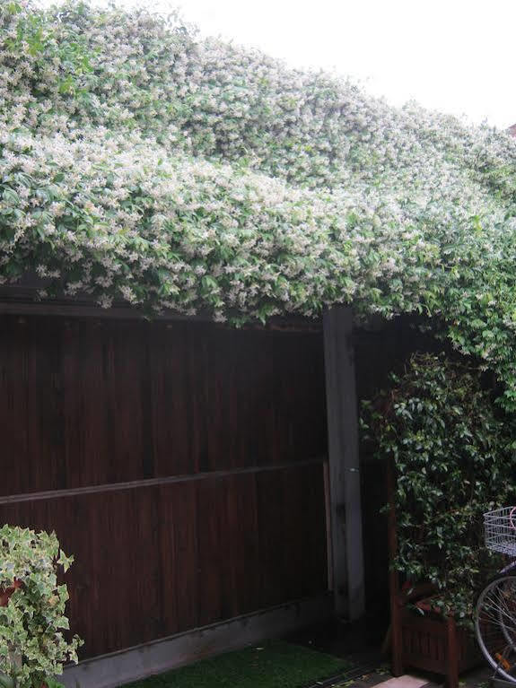 Casa Di Carlo Goldoni - Dimora Storica Acomodação com café da manhã Chioggia Exterior foto